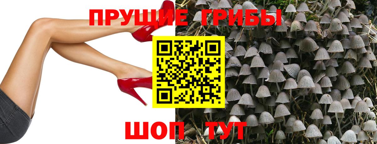 Искитим  Псилоцибиновые грибы GOLDEN TEACHER  где купить наркоту  Вход с VPN 